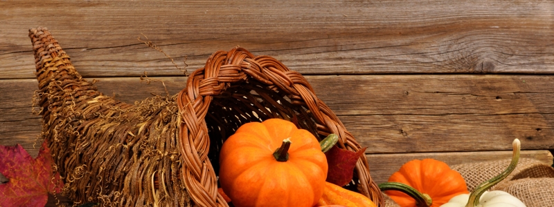 5 Fun Facts About Thanksgiving